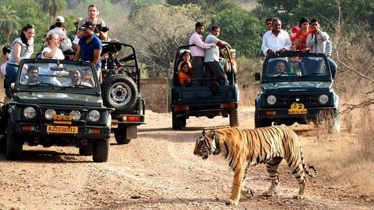 SARISKA TOUR PACKAGE